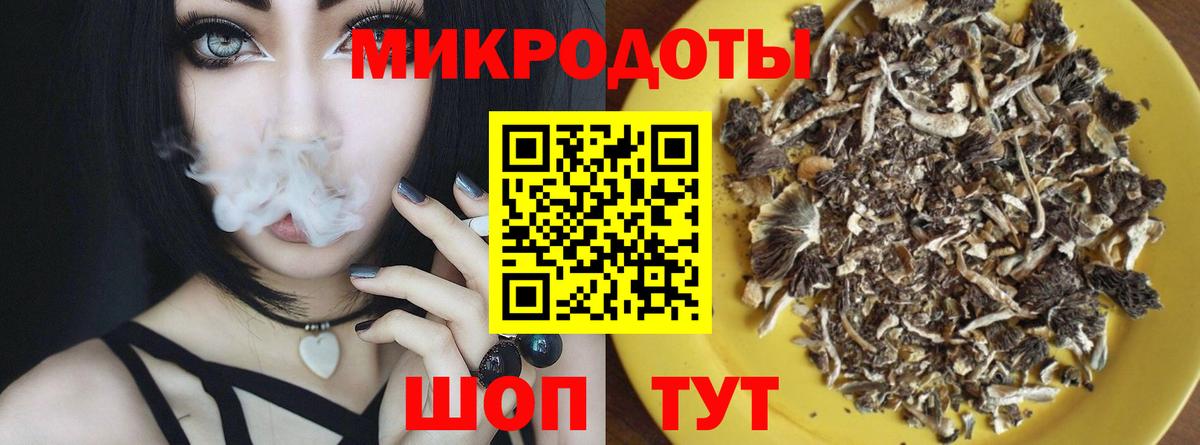 Волхов  Псилоцибиновые грибы мухоморы  Вход с VPN 