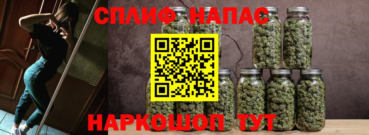 Бошки марихуана Amnesia Волхов